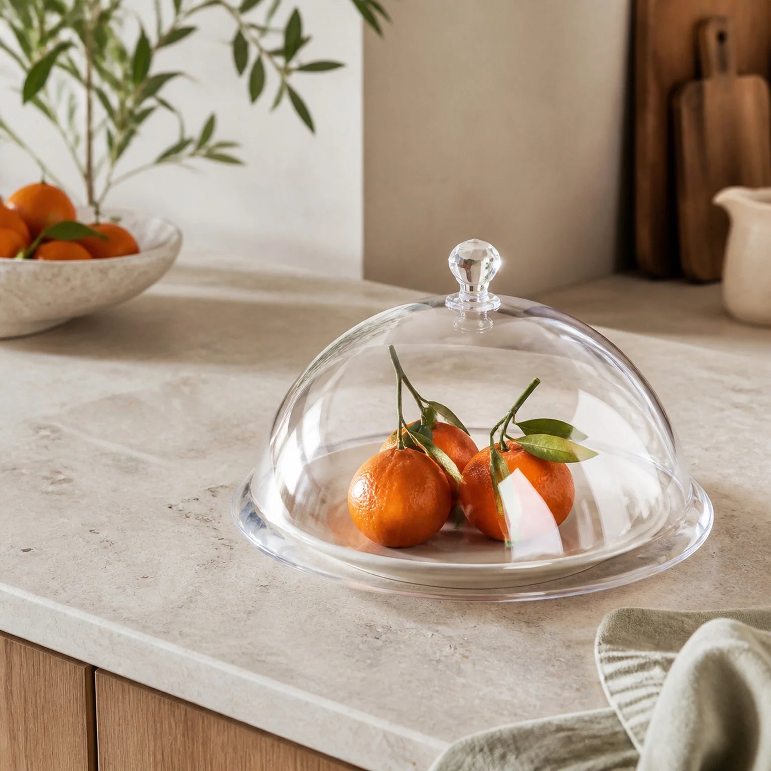 Max Dome Food Display Cover - lifestyle view